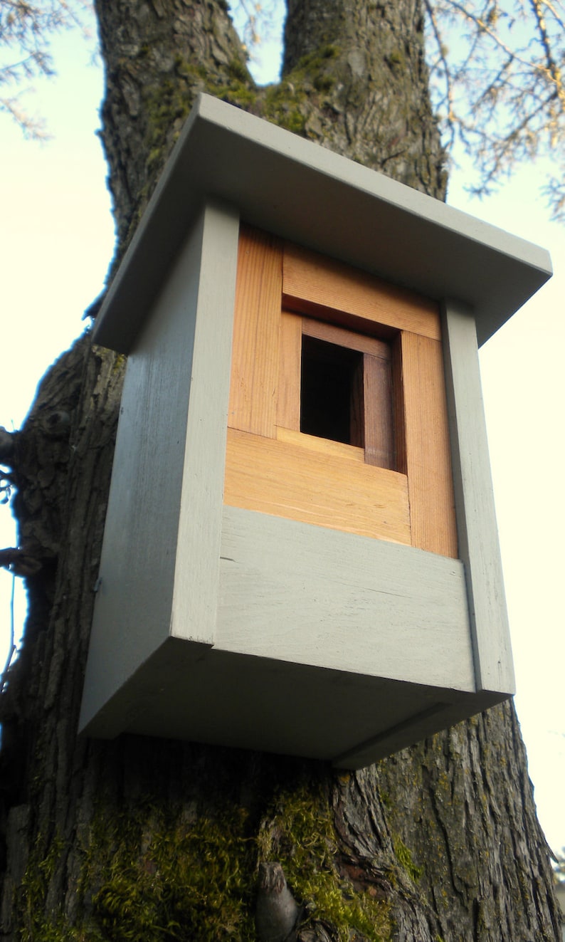 Birdhouse, modern craftsman The Camera Shutter image 4