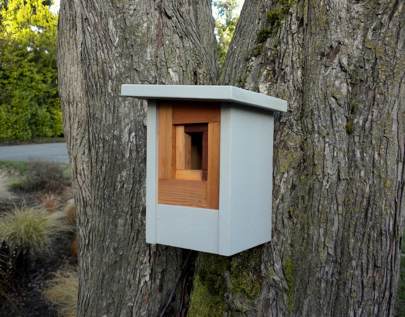 Birdhouse, modern craftsman The Camera Shutter image 3