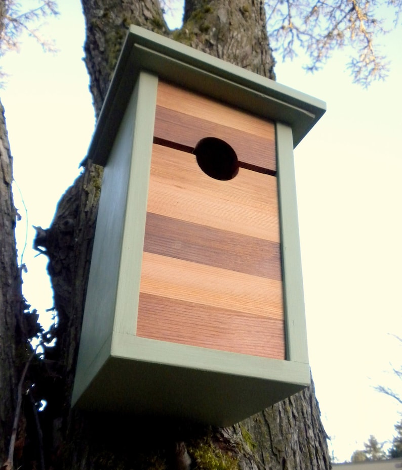 Birdhouse, modern craftsman Mind the Gap image 3
