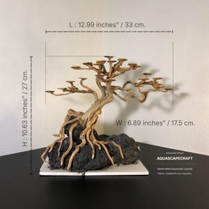Puede incluir: Una estructura de bonsái de madera flotante de color marrón claro sobre rocas volcánicas de color gris oscuro. Las dimensiones son 33 cm de largo, 27 cm de alto y 17,5 cm de ancho. El texto en la imagen dice AQUASCAPECRAFT.