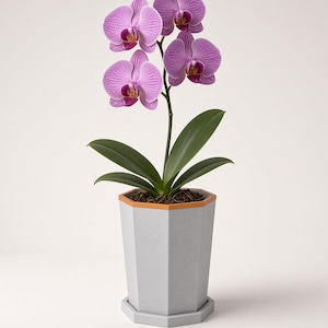 May include: A potted Phalaenopsis orchid with four vibrant purple-veined flowers and dark green leaves. The plant is housed in a light grey, octagonal-shaped planter featuring a thin orange rim and a matching octagonal saucer at the base.