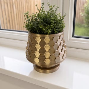 May include: A metallic gold planter with a raised hexagonal honeycomb pattern on the exterior surface. The planter features a wide, rounded body that tapers towards a circular base and is filled with a small, dense green leafy plant.