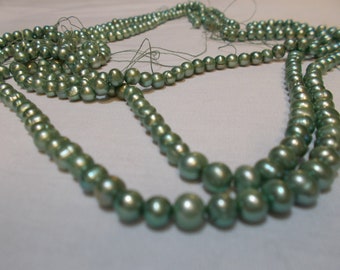 Six Strands of Light Mint Green Freshwater Pearls crafts Jewelry making