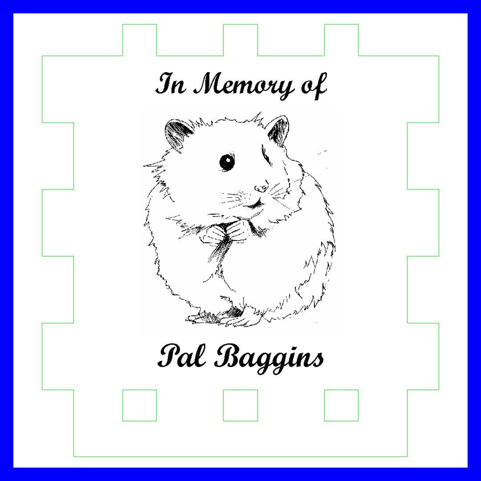 Personalised Pet Cremation Urn Hamster Etching Natural Etsy