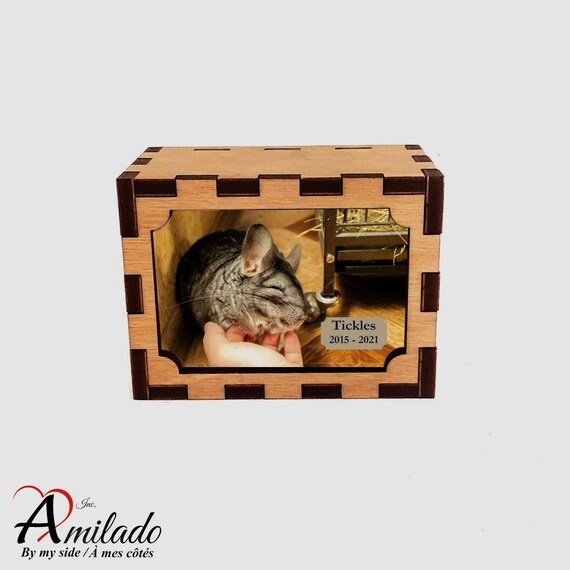 Xsmall Pet Cremation Urn / Chinchilla / Picture Cube or Etsy