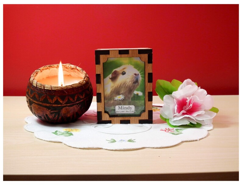 Personalised Pet Cremation Urn Hamster Etching Natural Etsy