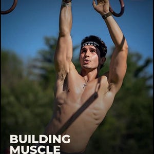 BUILD — Programa de desarrollo muscular