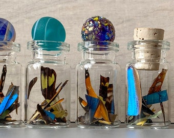 Real Butterfly Wing Confetti Jar Bottle XS Ethically Sourced Funds Conservation