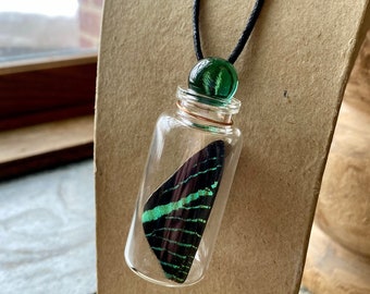 Custom Necklace Real Butterfly Wing in a Jar Ethically Sourced Funds Conservation