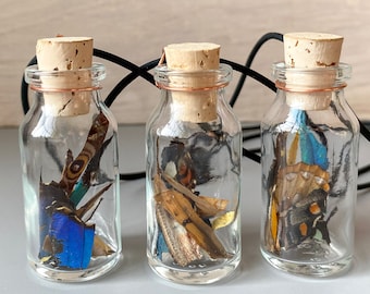 Real Butterfly Wing Confetti Necklace Small Jar Ethically Sourced Funds Conservation