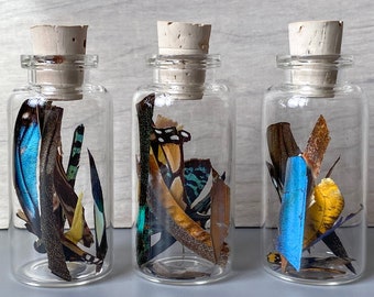 Real Butterfly Wing Confetti Jar Bottle Medium Ethically Sourced Funds Conservation