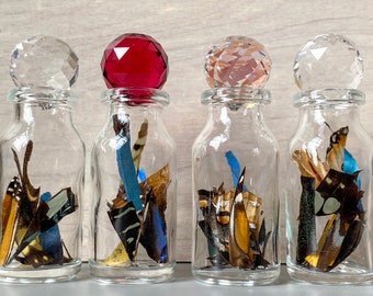 Real Butterfly Wing Confetti Jar Bottle Small Ethically Sourced Funds Conservation