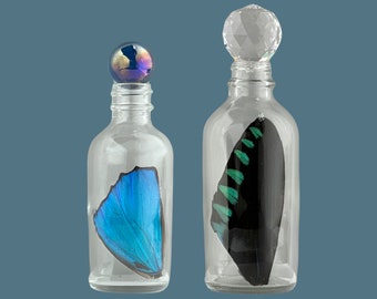 Pode incluir: Duas garrafas de vidro transparente com rolhas. Uma garrafa contém uma asa de borboleta azul, a outra contém uma asa de borboleta preta e verde.