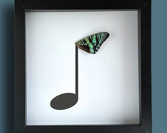 Arte emoldurada de colcheia musical com asa de borboleta real