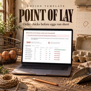 Könnte beinhalten: Ein Laptop zeigt eine Notion-Vorlage mit dem Titel Point of Lay mit Datentabellen zur Verfolgung der Eierproduktion und des Haushaltsbedarfs. Der Bildschirm zeigt Text, einschließlich Where the curve drops under your household und 340 eggs short.