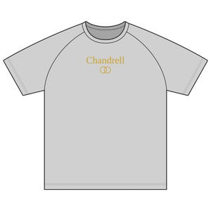 May include: A light gray short-sleeved t-shirt with raglan sleeves and a crew neckline. Centered on the chest is the text "Chandrell" printed in gold, positioned directly above a gold-colored graphic of two interlocking circles.