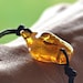 see more listings in the amber bracelets section