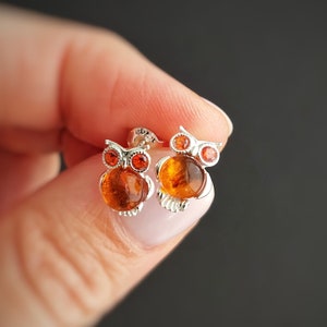 Könnte beinhalten: Silberne Ohrstecker in Eulenform mit bernsteinfarbenen Edelsteinkörpern und rot-orangen Edelsteinaugen. Die Ohrringe werden in einer Hand vor dunklem Hintergrund gehalten. Das Eulen-Design ist detailliert und skurril.