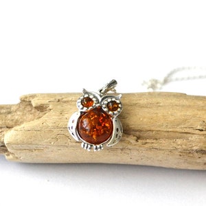 Owl Amber Pendant Necklace, Natural Baltic Amber Jewelry, Sterling silver chain pendant Romantic Jewelry Gift for Her graduation gift image 5