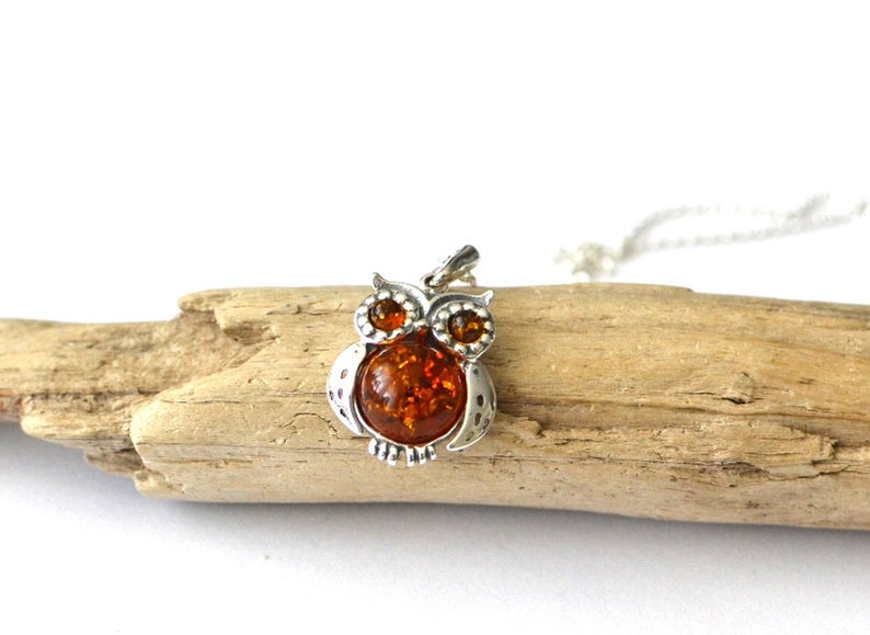 Owl Amber Pendant Necklace, Natural Baltic Amber Jewelry, Sterling silver chain pendant Romantic Jewelry Gift for Her graduation gift image 5