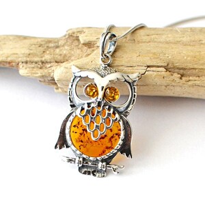 Owl Amber Pendant Necklace, Natural Baltic Amber Jewelry, Sterling silver chain pendant Romantic Jewelry Gift for Her graduation gift image 6