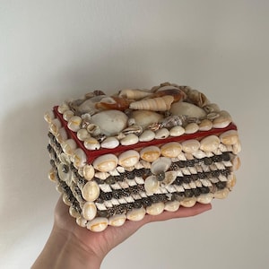 May include: A rectangular box covered in various seashells. The lid features larger, smooth white and tan shells, while the sides are decorated with rows of small, dark brown, textured spiral shells bordered by larger white shells.