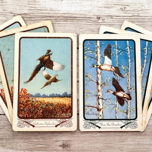May include: A collection of vintage playing cards with bird illustrations. One card shows pheasants in flight over a field, labelled "Autumn Splendor." Another depicts ducks among birch trees, labelled "Through the Birches."