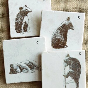 May include: Four white square coasters with black and white bear illustrations. Each coaster has a letter from A to D in the top right corner.
