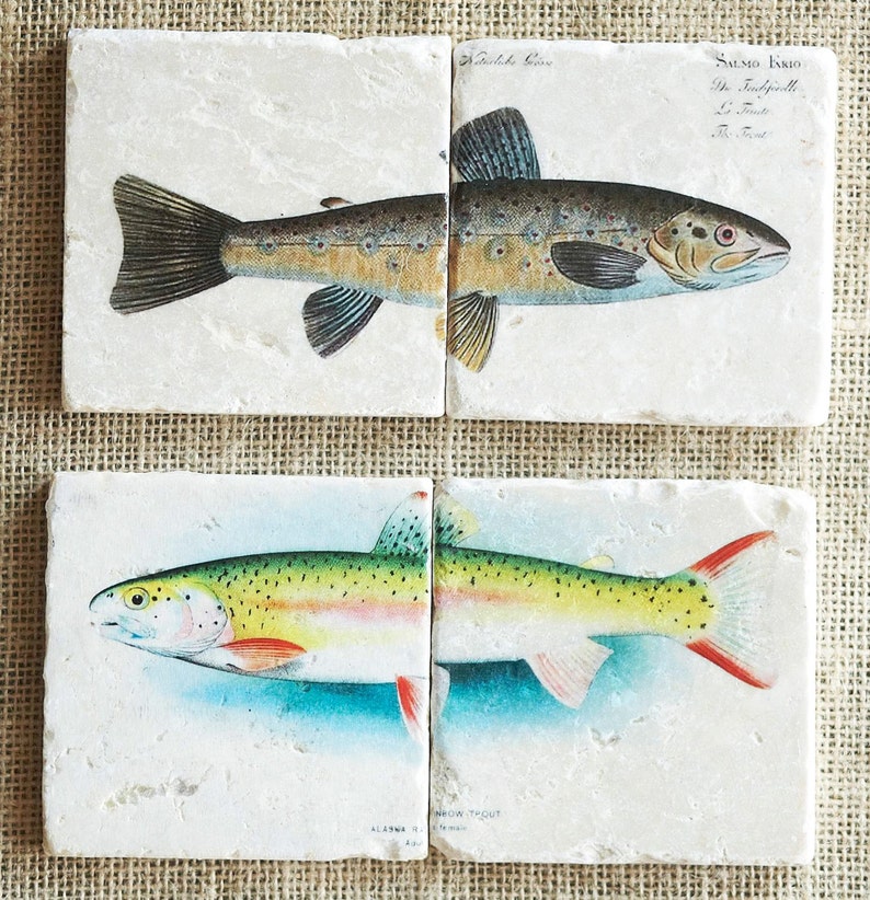 Trout Coasters Cabin Decor Trout Decor Fish Decor Cabin Etsy