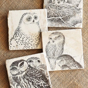 May include: Set of four square coasters featuring black and white illustrations of owls. Each coaster has a different owl design, including a snowy owl, a great horned owl, and two owls perched on a branch.