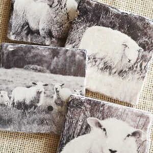 May include: Set of four square coasters featuring black and white photographs of sheep. The coasters are made of a light gray stone material.