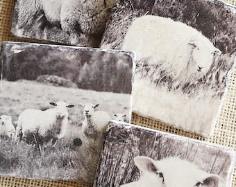 Sheep Decor- Coasters, Sheep Gift, Farm Decor, Farm Gift, Lamb Decor, Lamb Gift, Farm Animal Decor, Farm Animal Gift, Sheep Tile