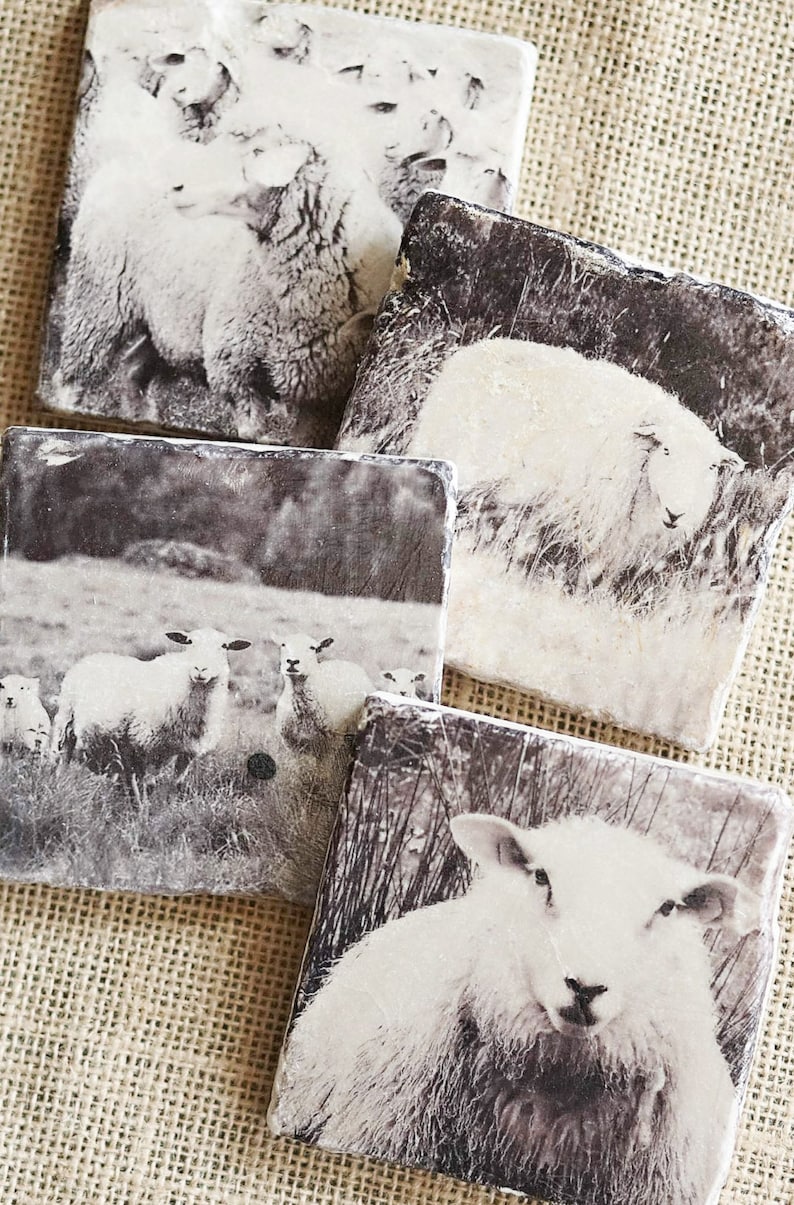 Sheep Decor Coasters Sheep Gift Farm Decor Farm Gift Lamb Etsy