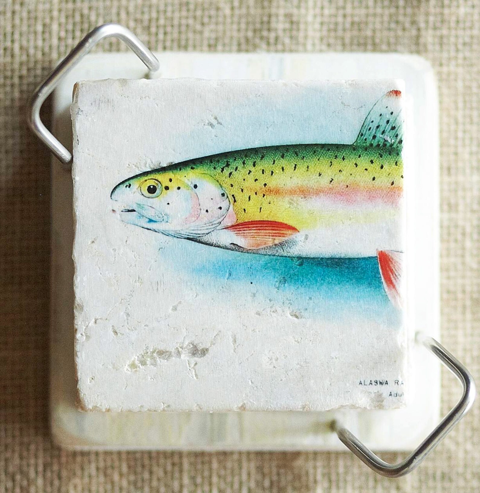 Trout Coasters Cabin Decor Trout Decor Fish Decor Cabin - Etsy