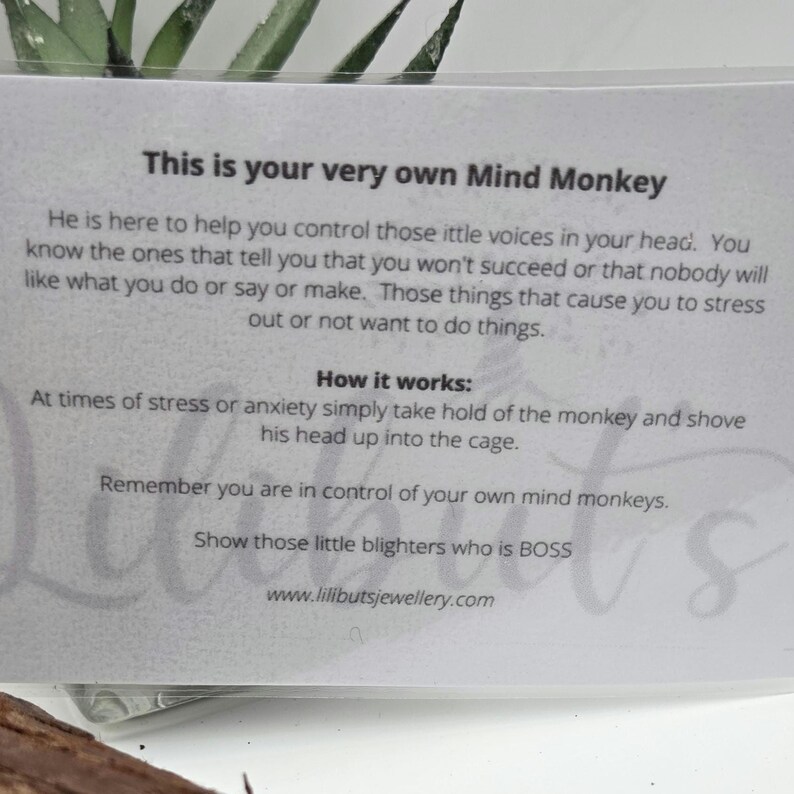 Mind Monkey Keyring: Anxiety Relief, Mental Health Aid image 8