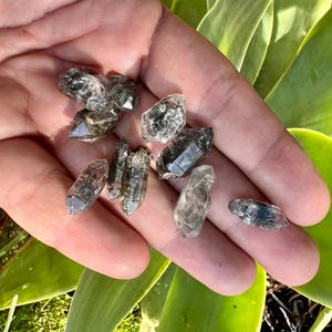 Könnte beinhalten: Eine Sammlung kleiner, durchscheinender, rauchfarbener Quarzkristalle mit spitzen Enden. Diese natürlichen Mineralexemplare weisen unterschiedliche Grade an inneren Einschlüssen sowie dunkelgraue bis braune Farbtöne auf und zeigen eine facettierte, geometrische Struktur.
