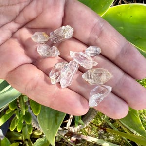 Op de afbeelding: Een verzameling kleine, heldere, natuurlijk gevormde kwartskristallen met puntige uiteinden en gefacetteerde oppervlakken. Deze doorschijnende, kleurloze mineraalspecimens vertonen variërende geometrische vormen en liggen in een open handpalm.