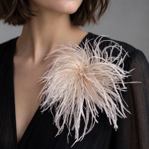 May include: A large, round, pale blush pink ostrich feather brooch attached to the chest area of a black, long-sleeved, V-neck garment. The accessory features long, wispy, delicate plumes radiating outward from a central point.