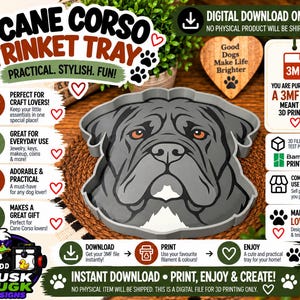 Könnte beinhalten: Eine 3MF-Datei zum Herunterladen für eine 3D-gedruckte Ablageschale in Form eines Cane Corso Hundes. Das Design zeigt ein graues Hundegesicht mit orangen Augen und einem weißen Brustfleck. Die Grafik enthält Text wie Cane Corso Trinket Tray und 3MF File.