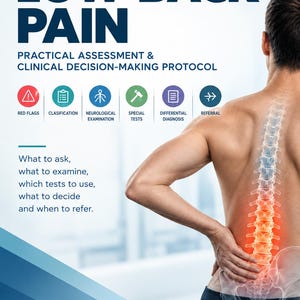 Low Back Pain Clinical Guide|Assessment|Clinical Decision Making|Physiotherapy|Medicine|Red Flags, Special Tests|Differential Diagnosis