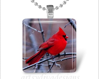 CARDINAL BIRD Red Cardinal Spring Bird Glass Tile Pendant Necklace Keyring design 1