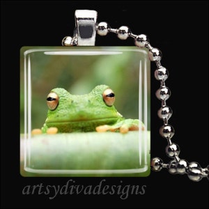 CUTE GREEN FROG Water Pond Glass Tile Pendant Necklace Keyring