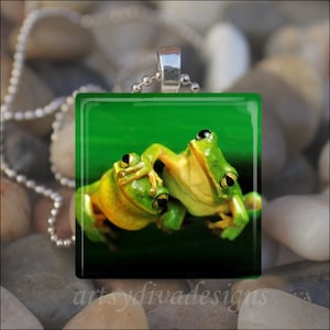 FROG FRIENDS Best Friend Frogs Love Valetine Glass Tile Pendant Necklace Keyring