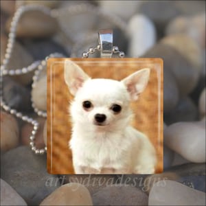 "YORKIE CUTIE" YORKSHIRE TERRIER DOG LOVE PUPPY CANINE GLASS PENDANT NECKLACE 