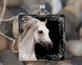 MAJESTIC WHITE HORSE Equine Equestrian Glass Tile Pendant Necklace Keyring design 1