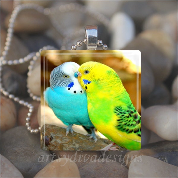 LOVEBIRDS Birds In Love Kissing Parakeets Glass Tile Pendant Necklace Keyring