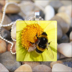 YELLOW BUMBLE BEE Spring Flower Honey Bee Garden Glass Tile Pendant Necklace Keyring