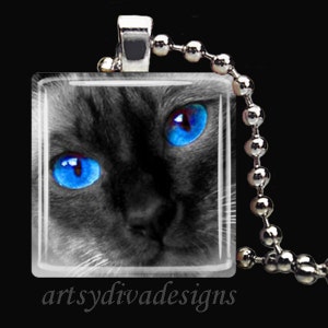 Può includere: Primo piano in bianco e nero di un viso di gatto con occhi blu brillanti. Il viso del gatto è incorniciato da un ciondolo quadrato di vetro con una catena d'argento.