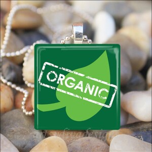 ORGANIC Vegetarian Vegan Going Green Glass Tile Pendant Necklace Keyring