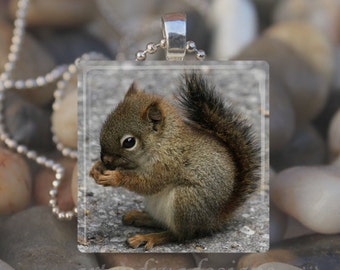 BABY SQUIRREL Forest Animal Glass Tile Pendant Necklace Keyring